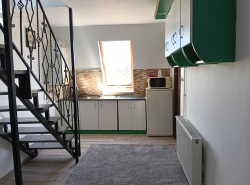 Apollo Green 1 cameră