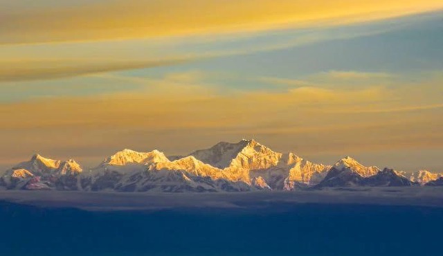ARRIVED PELLING