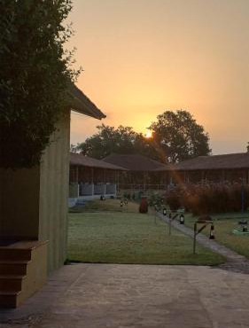 Asiatic Lion Lodge