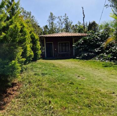 Athena Homestay