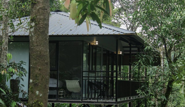Aura Tree House Villa Farm