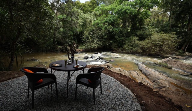 Avadale Coorg Stag - Groups Not Allowed