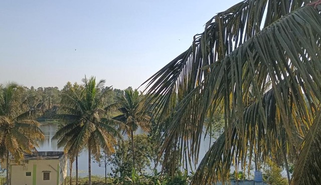 BALAJI PALACE TOURIST HOME