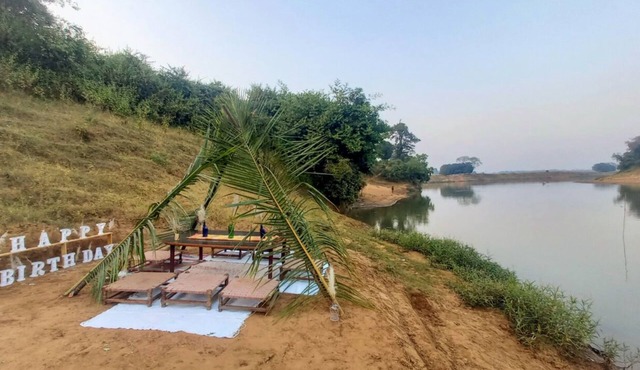 Bastar Birds Nest