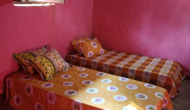 Bastar homestays! Satyendras Cottage! Tribal to its core!