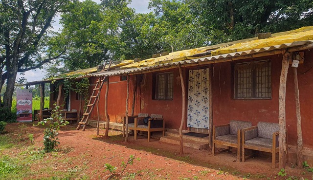 Bastar Tribal Homestay - "Where Culture meets Nature"