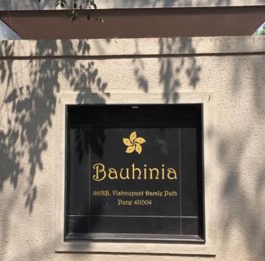 Bauhinia