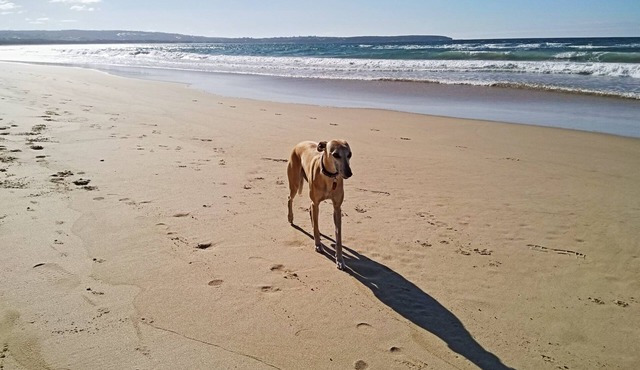 Beachcomber: Unit 3 (Upstairs) in Merimbula