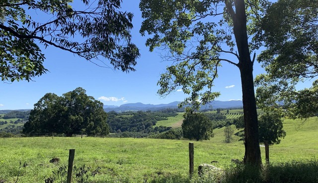 Beautiful Byron Hinterland.1 bedroom open plan cabin sleeps 4. in Dunoon