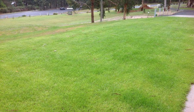 Beautiful setting in bushland in Mirboo North