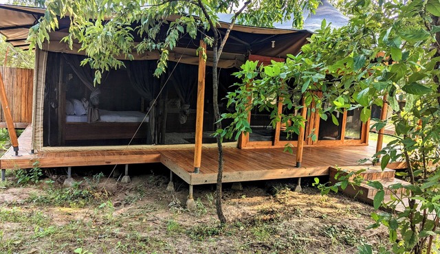 Bed and Breakfast - Double G Safaris & Camp Mikumi in Mikumi