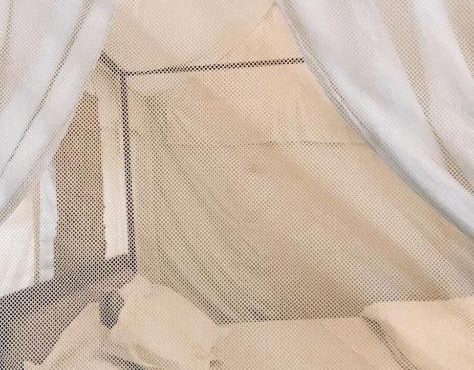 Belamour Retreat