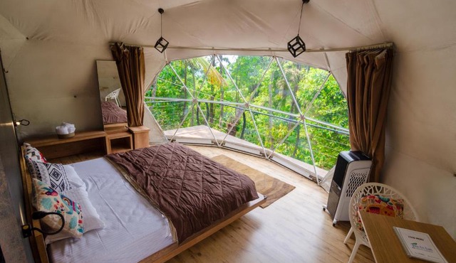 Birds eye Estate, glamping domes