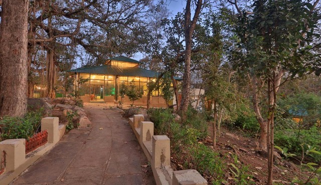 Bison Retreat - Pench