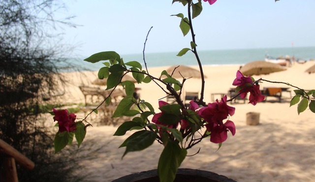 Bougainvilleapatnem beautiful eco friendly cottages