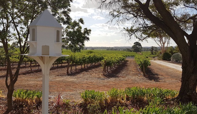Boutique accommodation peacefully set amongst you're own private vineyard in Light Pass