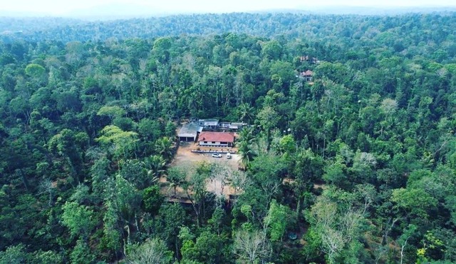 Bungalow369