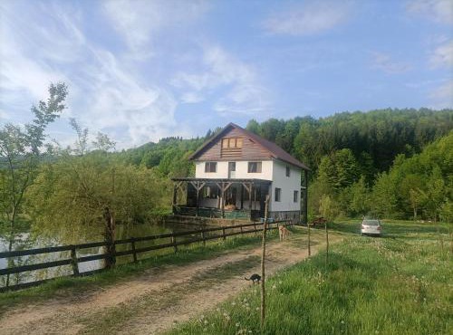 Cabana Țibleș Bichigiu