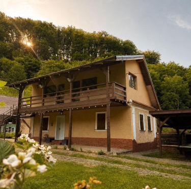 Cabana Din Pădure