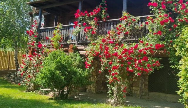 Cabana Haiducului in Dragosloveni