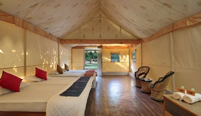 Camp Dilly