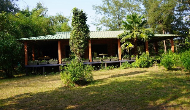 Camp Riveredge Paradise