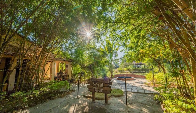 Camp Serai Tiger Tadoba