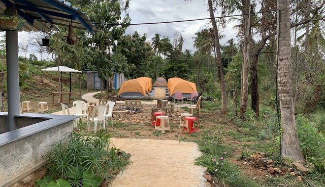 Camping at Wilderness Jungle Camp