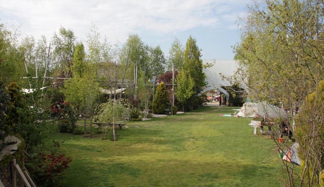 Camping Sandalandia