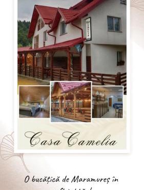 Casa Camelia in Sacel