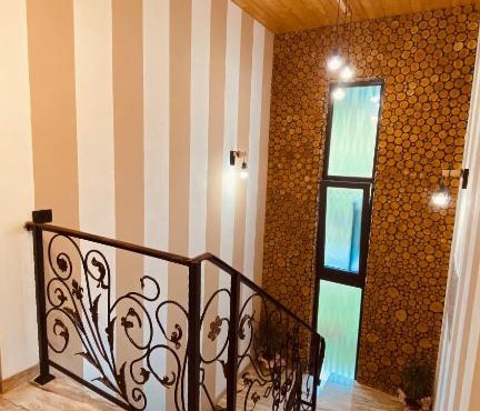 Casa dintre Brazi in Borsa