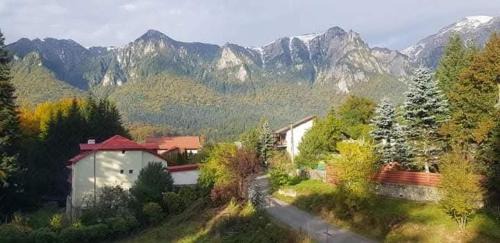 Casa EMY Busteni