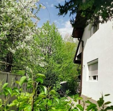 Casa File de Poveste