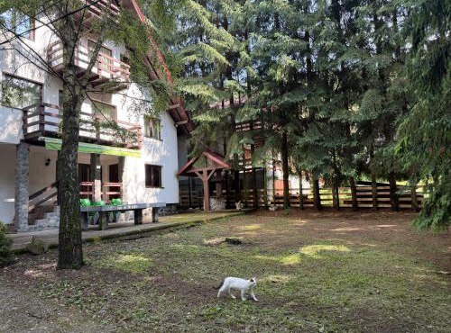 Casa Mario