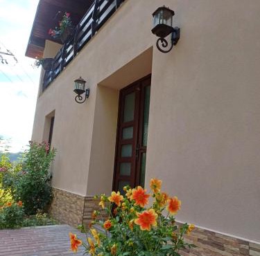Casa Radu Novaci