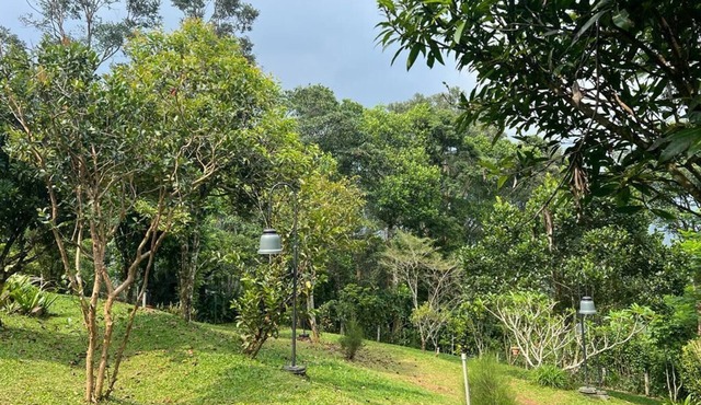 Castle Vallakalil Homestay, Luxury at a decient Price