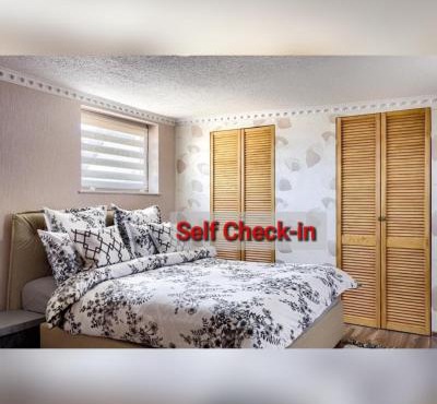 Central Modern Studio Self Chek-in in Arad