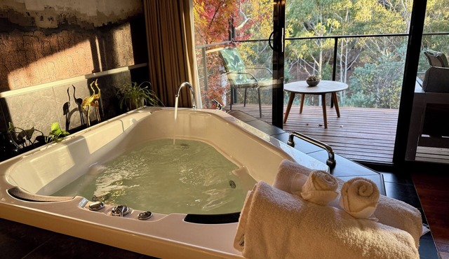 Centrally located 2-bedroom luxury pet friendly villa in Australia’s spa country in Hepburn Springs