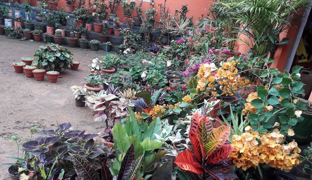 Chandragiri -romantic and traditional home for holiday vacation