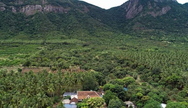 Chic Rustic farmhouse amidst a mango orchard beneath the Western Ghats of India
