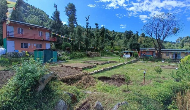 Chopta Eco Cottage & Camping
