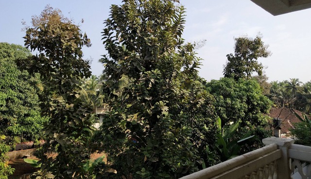 Classic 1-Bedroom Apartment at Colva, Goa