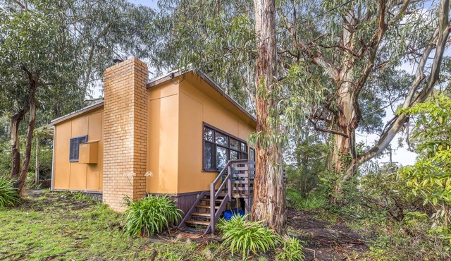 Classic Aussie Beach House in Skenes Creek