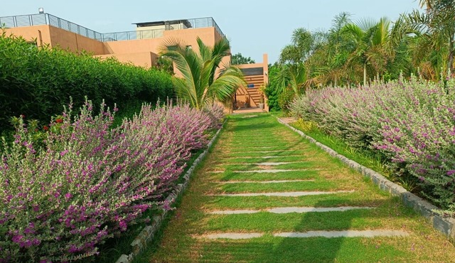 Club Azzurro Resort - Nalsarovar