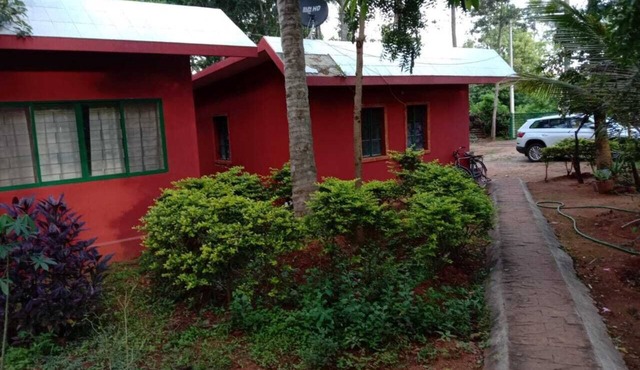 Coco Palms Homestay