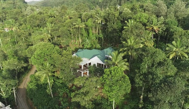 Coffee and Pepper Plantation Homestay
