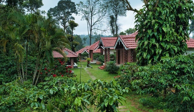 Coffee County Homestay