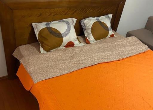 Comfortable Dristor Studio
