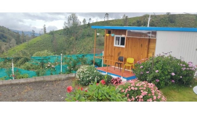 container wood house