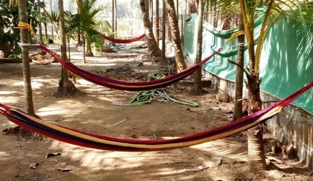 COOL & PLEASENT STAY IN NATUTRE @ DAKWE COTTAGE WITH DELICIOUS FOOD , NEAR BEACH